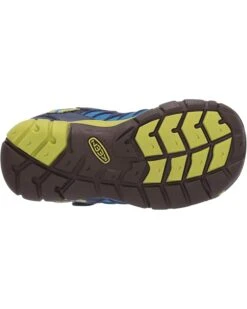 KEEN Kids Chandler CNX (Toddler/Little Kid) | Hiking -Modern Shoe Sport 71Gr6LCZgZL. AC SR736920